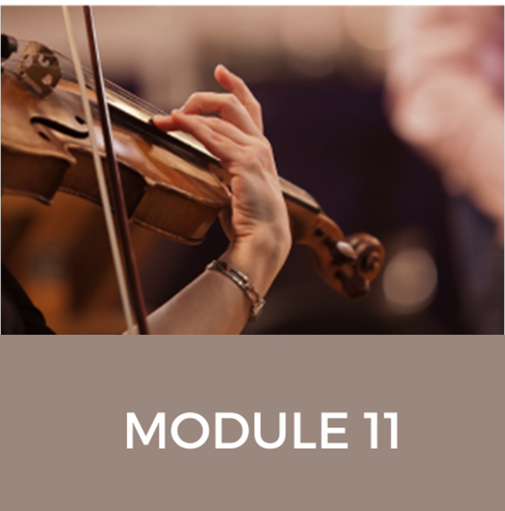 module 11