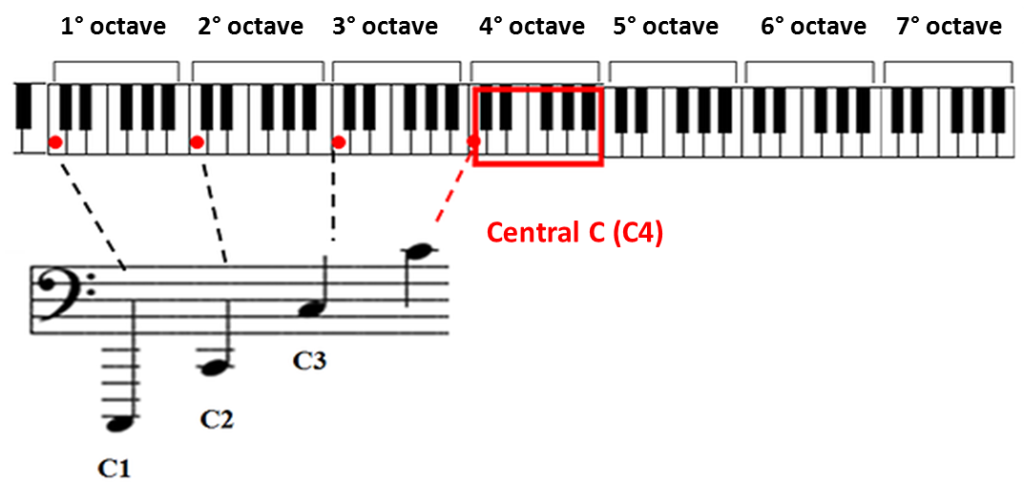 central c (c4)