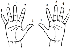 Notation des doigtés